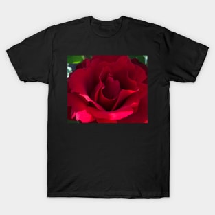 Red Rose T-Shirt